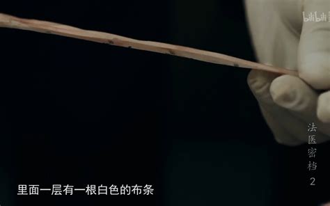 法医密档看点47 纪录片 全集 高清正版在线观看 Bilibili 哔哩哔哩