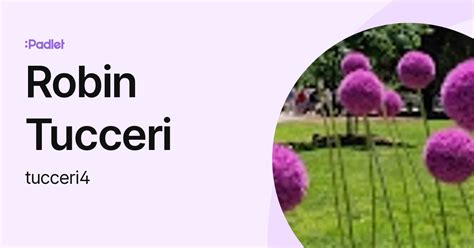 Robin Tucceri Tucceri4 Profile Padlet