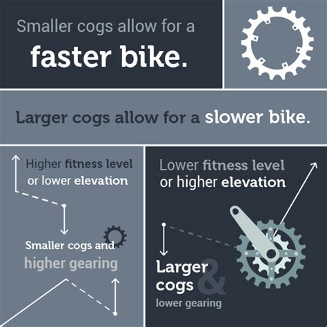 Complete Guide To Speed Bike Gears Atelier Yuwa Ciao Jp