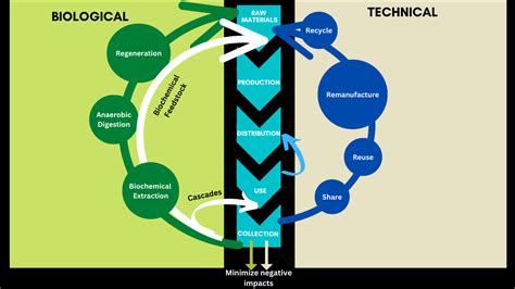 Unlocking Sustainability 3 Circular Economy Principles