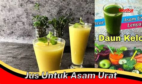 Jus Asam Urat Minuman Alami Untuk Redakan Gejala Asam Urat Biotifor