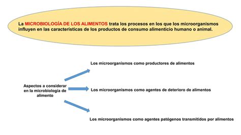 HIGIENE Y SEGURIDAD ALIMENTARIA Ppt