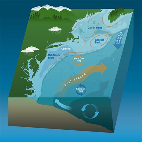 Gulf Of Maine Integrated Ecosystem Assessment