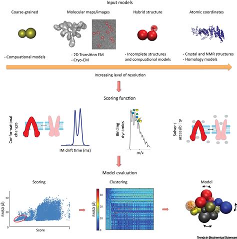 Hybrid Mass Spectrometry Towards Characterization Of Protein Conformational States Trends In