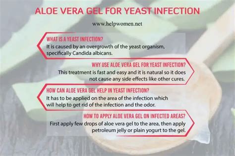 Aloe Vera For Yeast Infections Does It Really Work Planthd