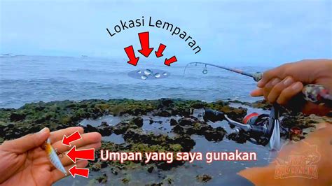 Mancing Dengan Umpan Pilihan Spot Mantap Di Meulaboh Aceh Barat