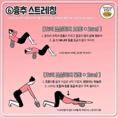 전신 부위별 폼롤러 스트레칭 동작 스트레칭 폼 롤러 짧은 운동