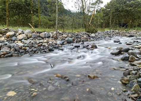 River Water Flowing Down Stream Mindo Ecuador Stock Photo Image Of