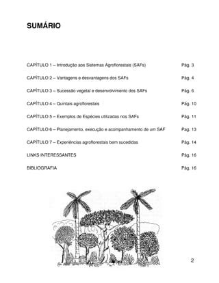 Apostila Agroflorestas Pdf