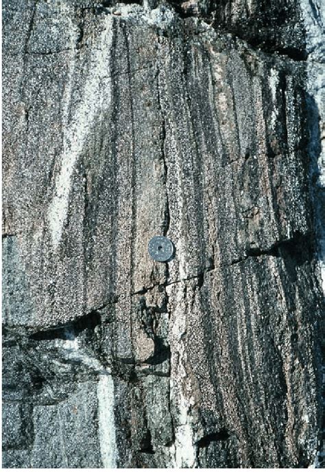 Heterogeneous Amphibolite Possibly Of Tuffaceous Origin With