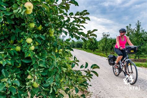 Green Velo 6 Ciekawych Wycieczek Na Wschodni Szlak Rowerowy 2022