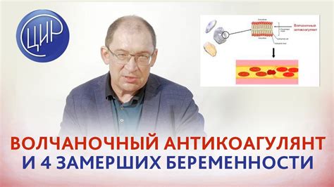 Волчаночный антикоагулянт и 4 замерших беременности подряд. Что делать ...