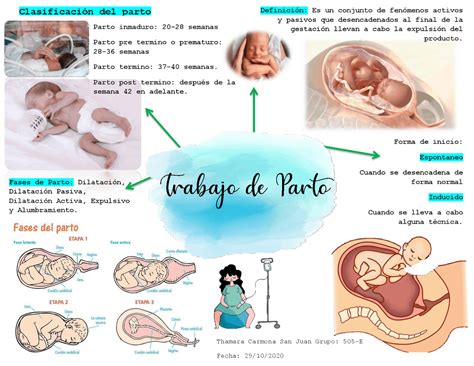 Etapas Y Fases Del Trabajo De Parto