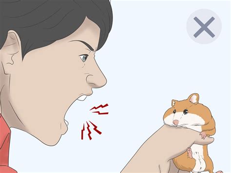 How To Hold A Hamster 14 Steps With Pictures Wikihow