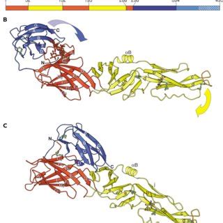 PDF Molecular Aspects Of The Dengue Virus Infection Process A Review