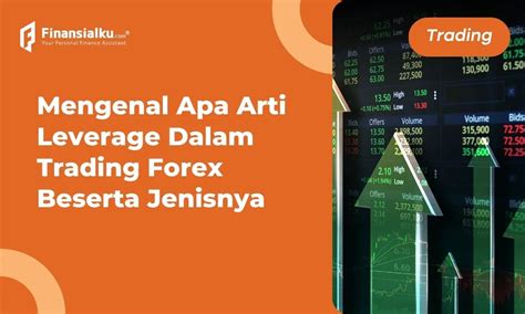 Apa Itu Arti Leverage Dalam Trading Forex Ini Penjelasannya