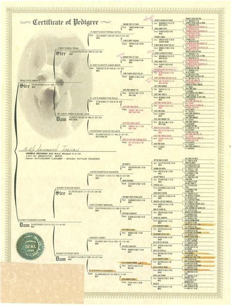 How To Read A Dogs Pedigree Cuteness