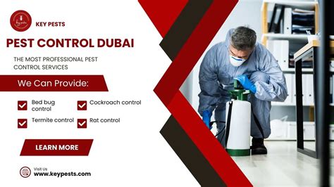 Pest Control Dubai Your Smartest Choice Key Pests