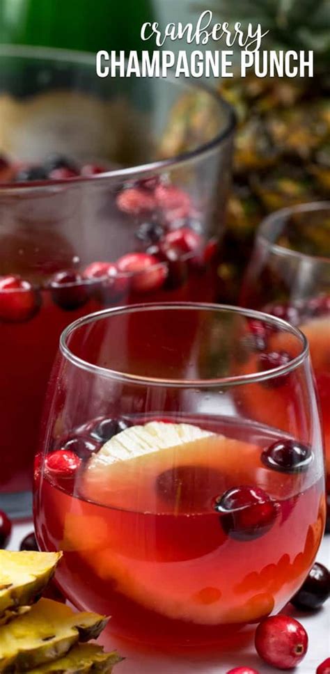 Cranberry Champagne Vodka Punch Recipe Besto Blog