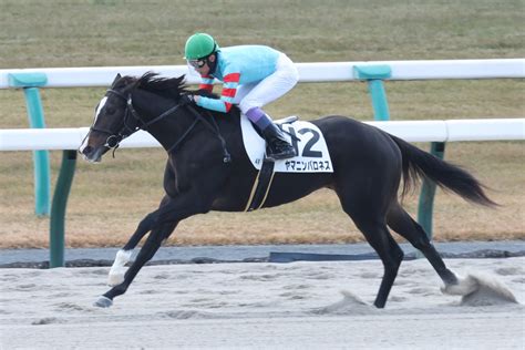 武豊ヤマニンバロネスが8馬身差の圧勝デビュー「強いわ。上手に走ってくれた」【京都4r・2歳新馬】東スポ競馬 Goo ニュース