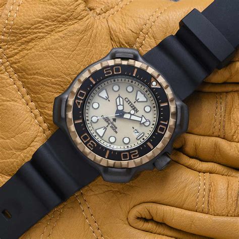 Promaster - Whale Shark Diver | CITIZEN