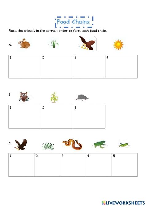 Food Chains Interactive Worksheet Food Chain Worksheet Food Chain