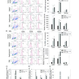 Expression Of Cd Cd And Cd A Megakaryocyte Specific Markers