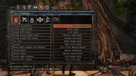 Here Are All The Settings For Dark Souls Ii On Pc