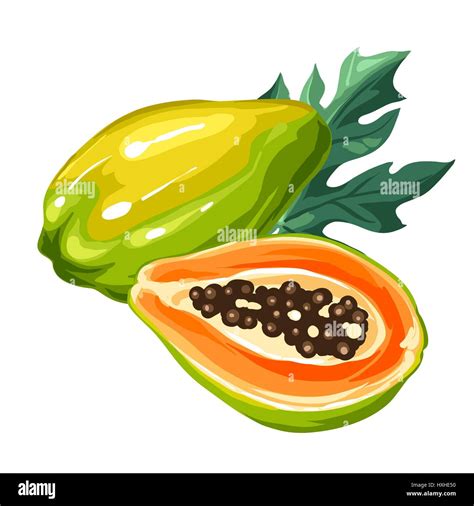 Papaya Clip Art