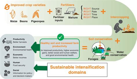 Combining Multiple Technologies Integrated Soil Fertility Management