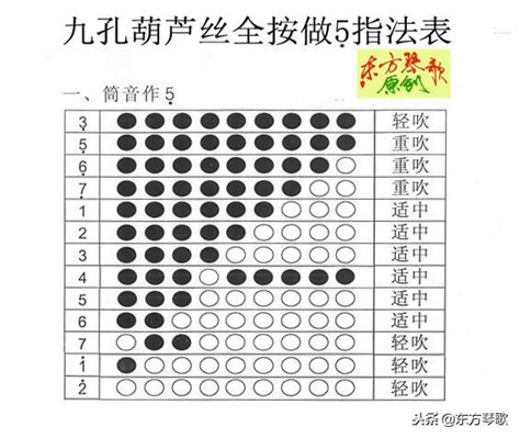 九孔葫蘆絲為何越來越深受葫蘆絲愛好者的喜愛 每日頭條