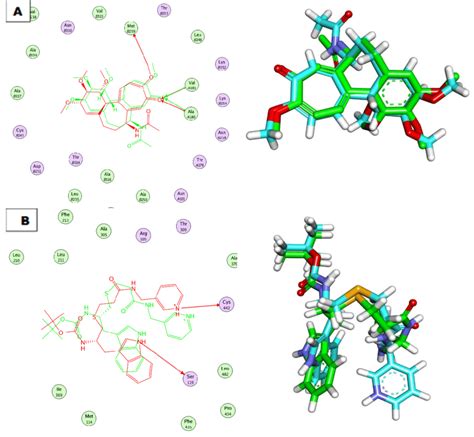 A Superimposition Of The Co Crystallized Pose And The Docking Pose Of