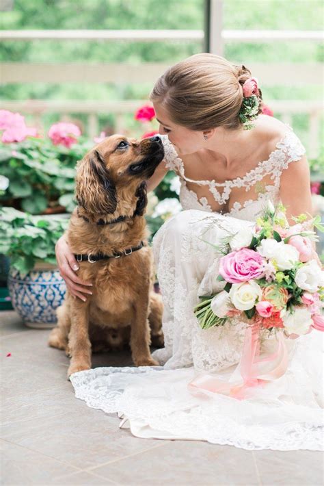 50 Too Cute Ways To Honor Your Pet In The Wedding Plans