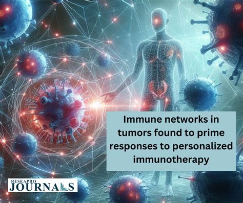 Immune Networks In Tumors Found To Prime Responses To Personalized