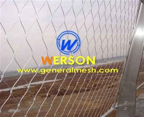 Hebei General Metal Netting Co Ltd Supply Any Size Of Vines Plants