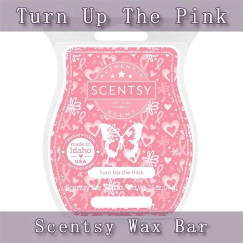 Pink Awareness Scentsy Scent Circle Bundle Tanya Charette