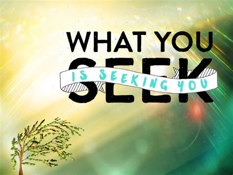seek tree quote wallpaper  stock photo public domain pictures