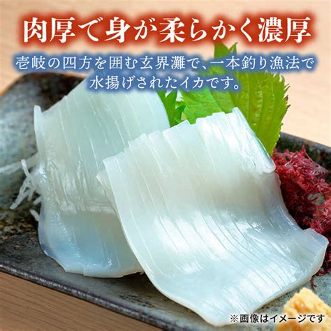 【楽天市場】【ふるさと納税】剣先イカ 刺身and一夜干しセット《壱岐市》【一支國屋】[jcc009] 海鮮 烏賊 イカ いか 刺身 刺し身 お刺身