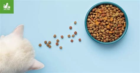 What Is Pate Cat Food