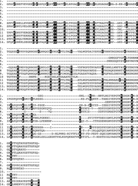 C Terminal Sequence Alignment Of SVMP ADAM Toxins The Partial