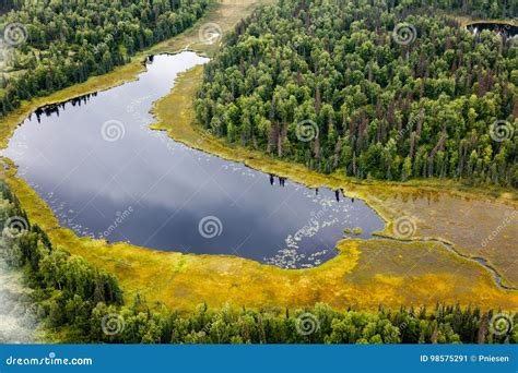 Aerial View Of Taiga Forest And Lake Stock Image Image Of Forest