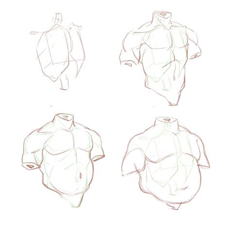 Pin By Elliot On Art Tutorials Figure Drawing Reference Body Type