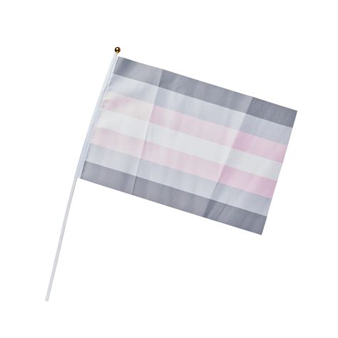 Demigirl Pride Hand Flag Medium Cybershop Australia