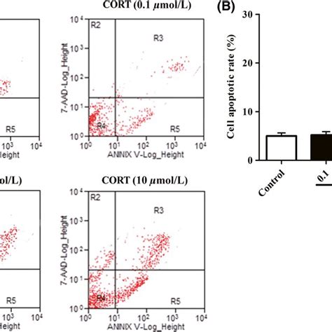 Effect Of Cort On Cell Apoptosis Of Pc12 Cells Pc12 Cells Were