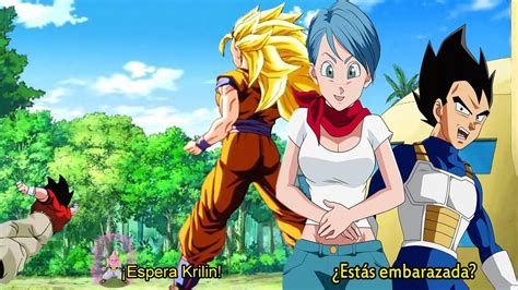 Dragon Ball Super Bulma Embarazada Majin Boo Regresa Sinopsis