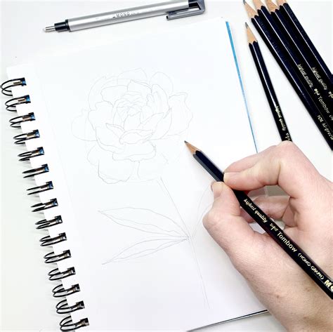 How To Draw A Peony With The MONO Drawing Pencil Set Tombow USA Blog