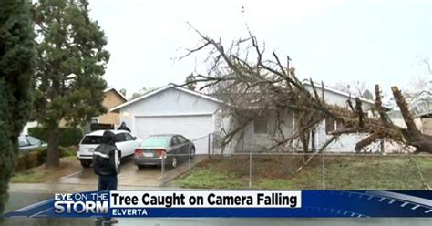 Saturated Ground And High Winds Knock Down Trees Cbs Sacramento