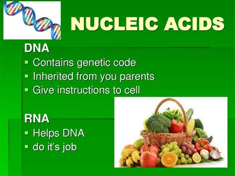 Nucleic Acid Foods