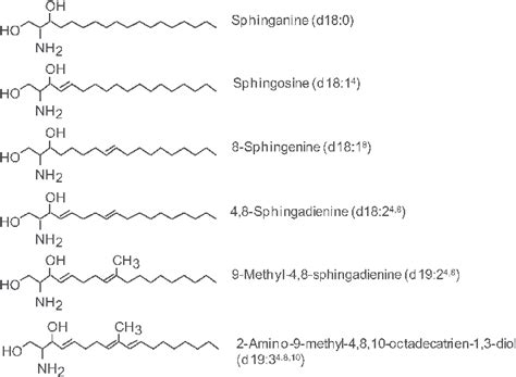 Structures Of Naturally Occurring Sphingoid Bases Names And Shorthand Download Scientific