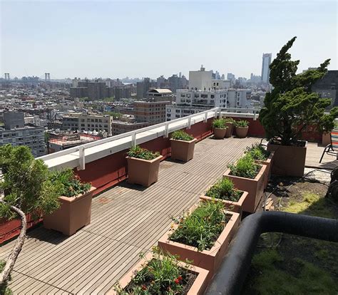 Rooftop Planters